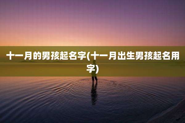 十一月的男孩起名字(十一月出生男孩起名用字)