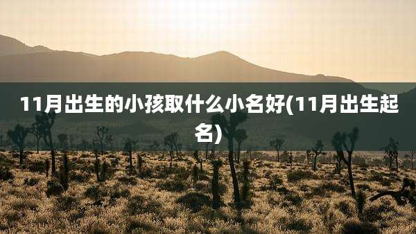 11月出生的小孩取什么小名好(11月出生起名)