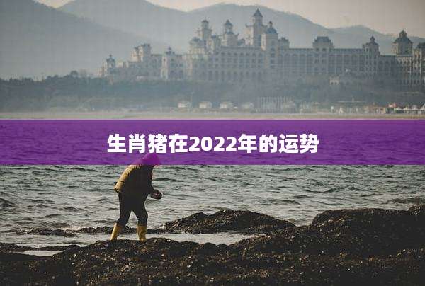 生肖猪在2022年的运势