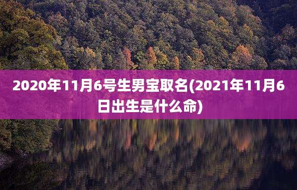 2020年11月6号生男宝取名(2021年11月6日出生是什么命)
