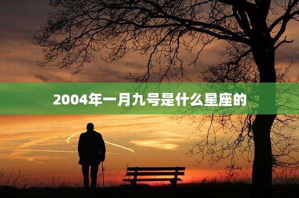 2004年一月九号是什么星座的