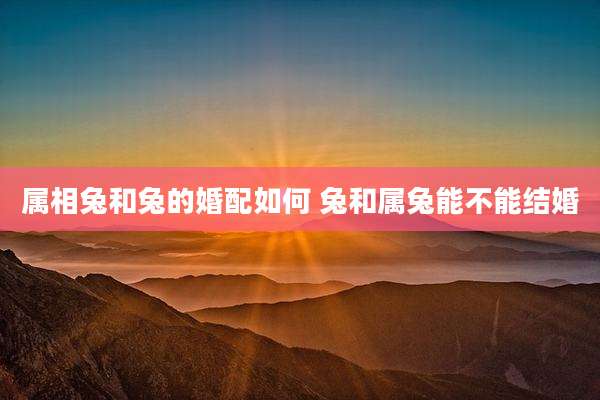 属相兔和兔的婚配如何 兔和属兔能不能结婚