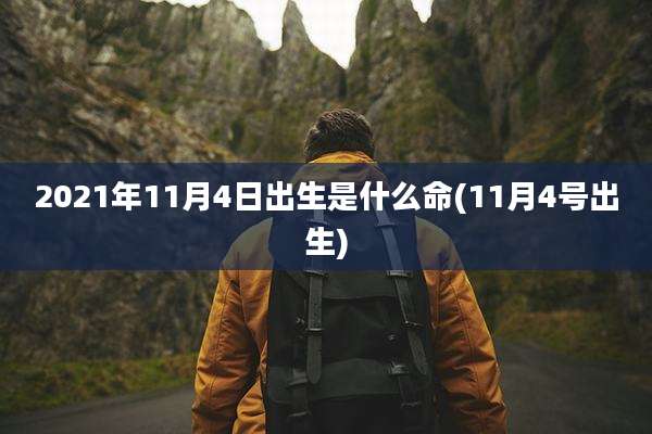 2021年11月4日出生是什么命(11月4号出生)