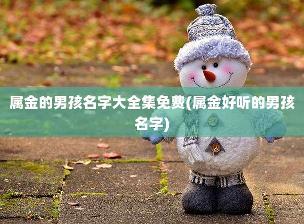 属金的男孩名字大全集免费(属金好听的男孩名字)