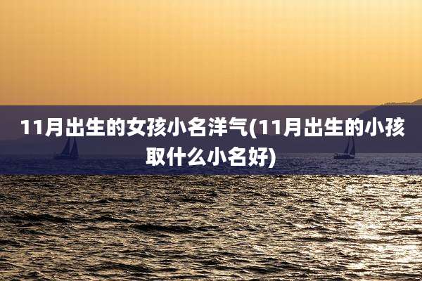 11月出生的女孩小名洋气(11月出生的小孩取什么小名好)