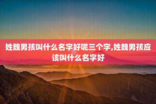 姓魏男孩叫什么名字好呢三个字,姓魏男孩应该叫什么名字好