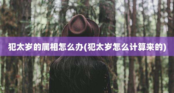 犯太岁的属相怎么办(犯太岁怎么计算来的)