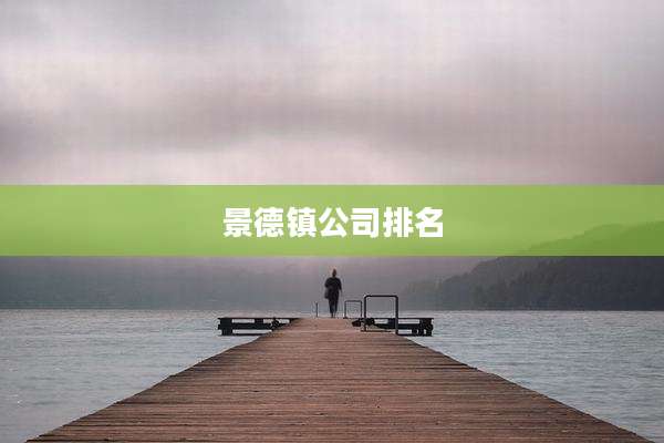 景德镇公司排名