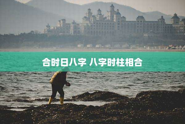 合时日八字 八字时柱相合