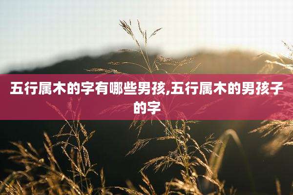 五行属木的字有哪些男孩,五行属木的男孩子的字