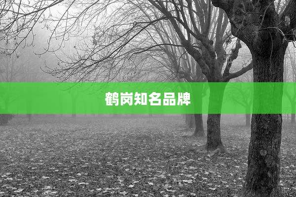 鹤岗知名品牌