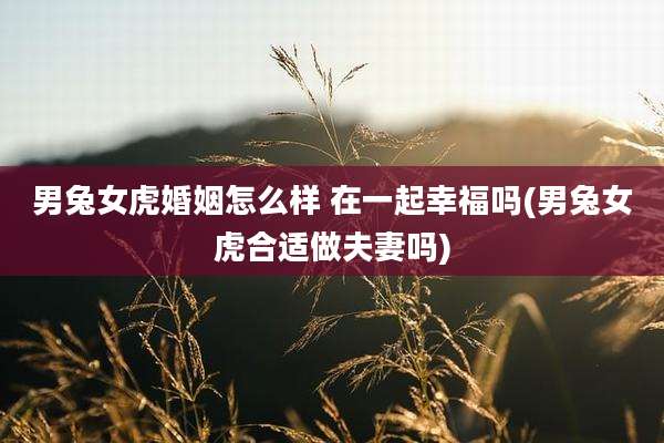 男兔女虎婚姻怎么样 在一起幸福吗(男兔女虎合适做夫妻吗)