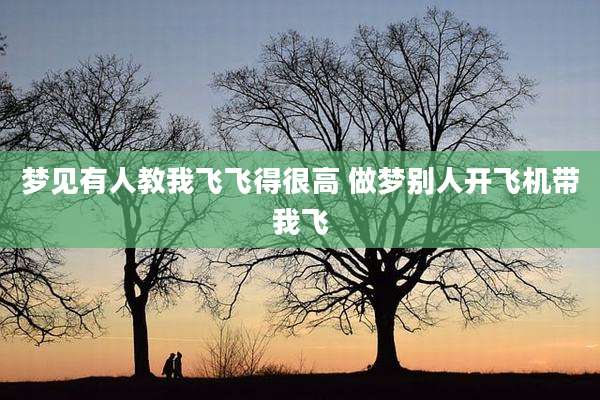 梦见有人教我飞飞得很高 做梦别人开飞机带我飞