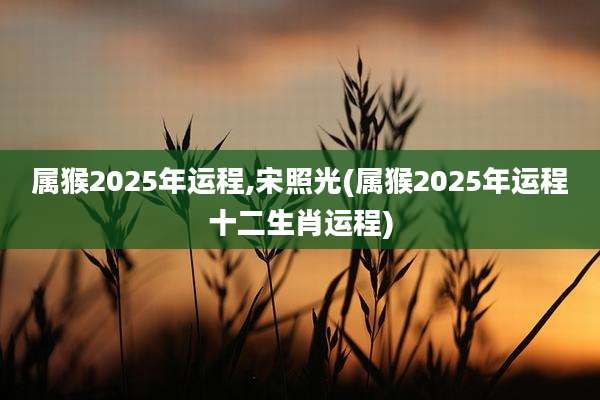 属猴2025年运程,宋照光(属猴2025年运程十二生肖运程)