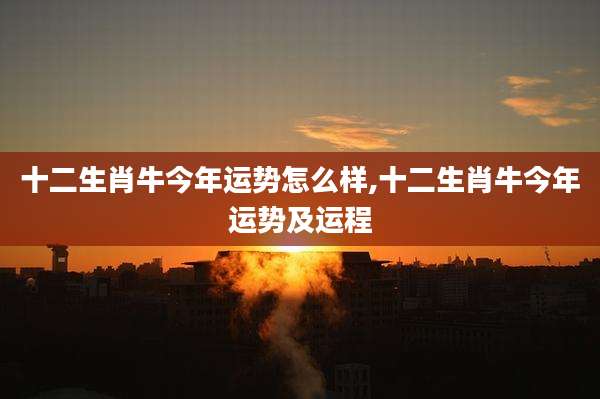 十二生肖牛今年运势怎么样,十二生肖牛今年运势及运程