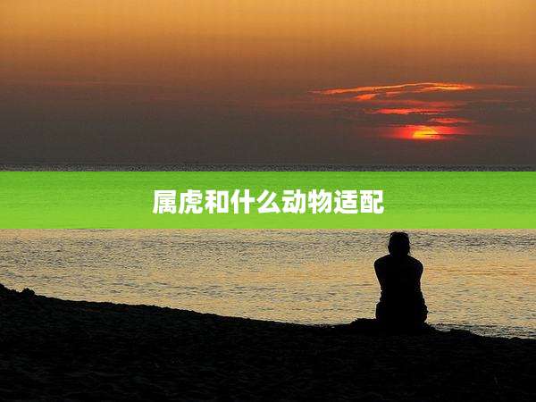属虎和什么动物适配
