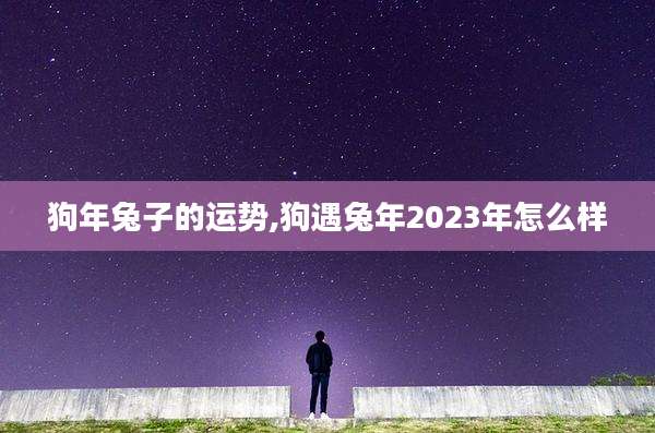 狗年兔子的运势,狗遇兔年2023年怎么样