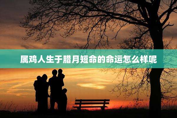 属鸡人生于腊月短命的命运怎么样呢