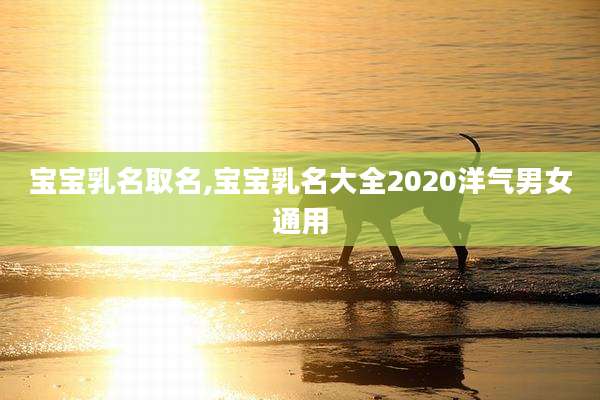 宝宝乳名取名,宝宝乳名大全2020洋气男女通用