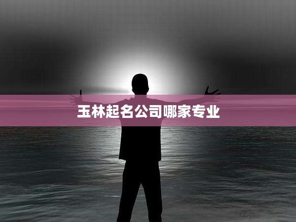 玉林起名公司哪家专业
