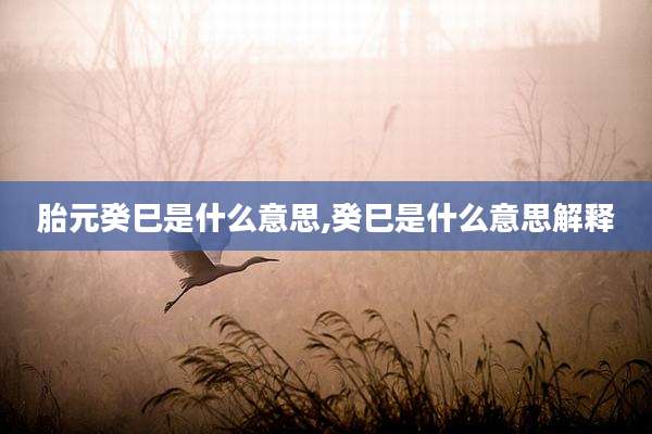 胎元癸巳是什么意思,癸巳是什么意思解释