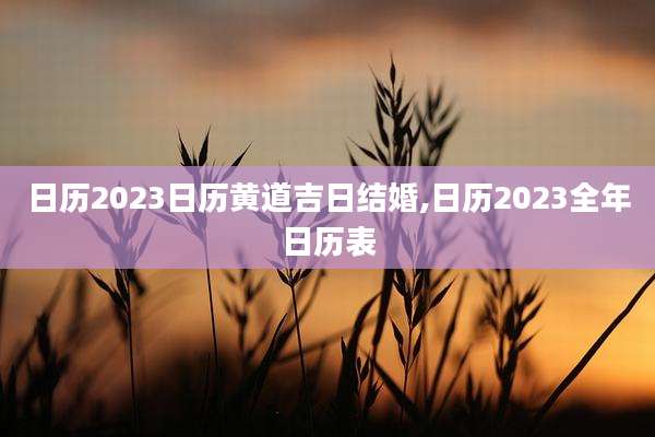 日历2023日历黄道吉日结婚,日历2023全年日历表