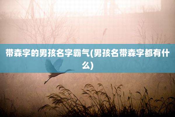 带森字的男孩名字霸气(男孩名带森字都有什么)