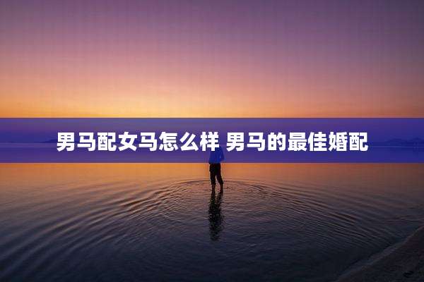 男马配女马怎么样 男马的最佳婚配