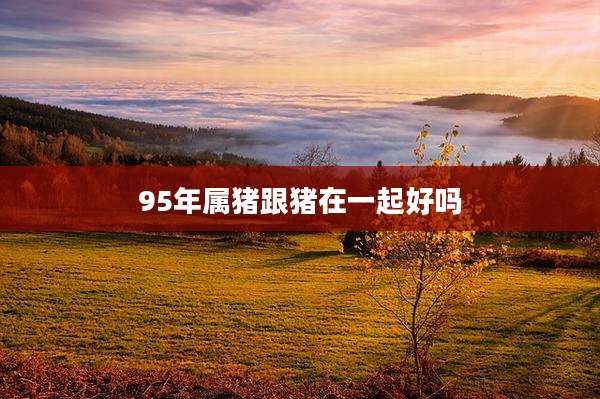95年属猪跟猪在一起好吗