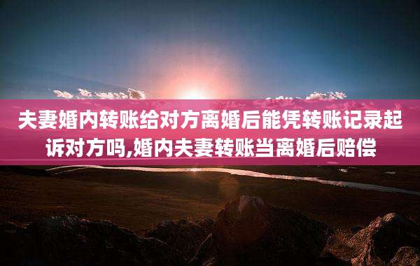 夫妻婚内转账给对方离婚后能凭转账记录起诉对方吗,婚内夫妻转账当离婚后赔偿