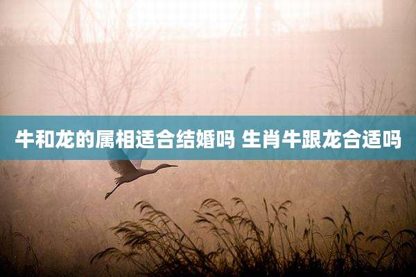 牛和龙的属相适合结婚吗 生肖牛跟龙合适吗
