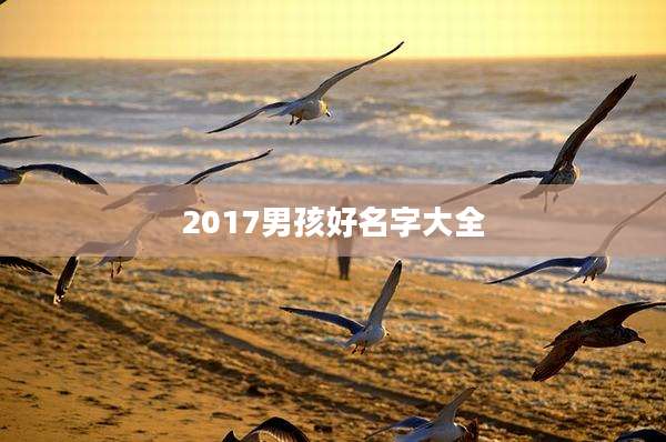 2017男孩好名字大全