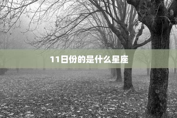 11日份的是什么星座