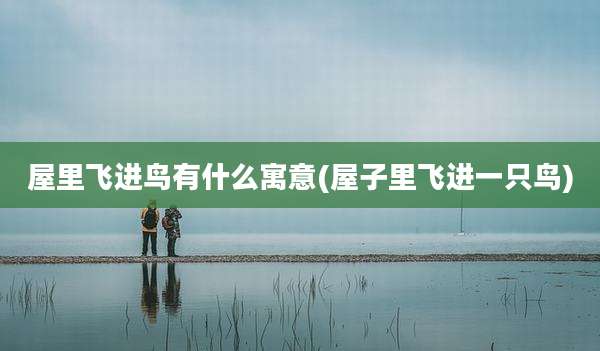 屋里飞进鸟有什么寓意(屋子里飞进一只鸟)