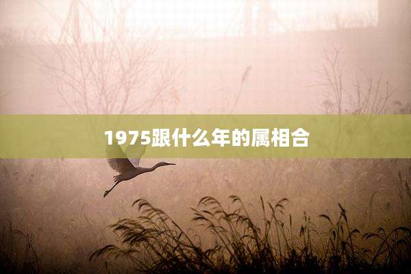 1975跟什么年的属相合