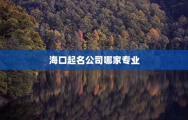 海口起名公司哪家专业