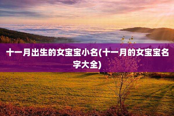 十一月出生的女宝宝小名(十一月的女宝宝名字大全)