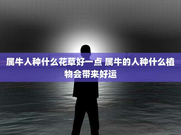 属牛人种什么花草好一点 属牛的人种什么植物会带来好运