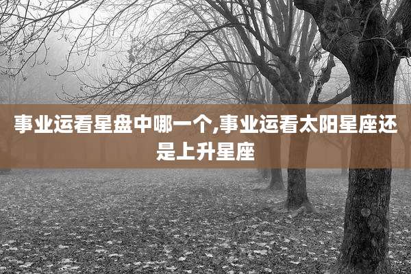 事业运看星盘中哪一个,事业运看太阳星座还是上升星座