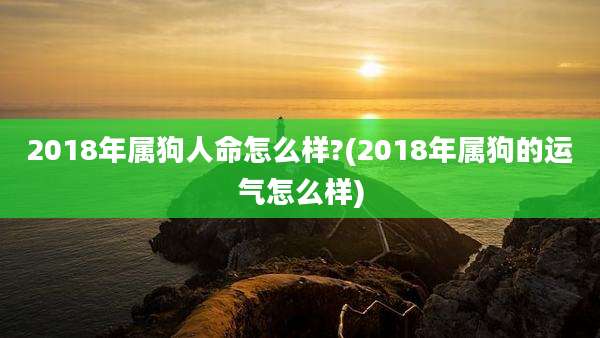 2018年属狗人命怎么样?(2018年属狗的运气怎么样)