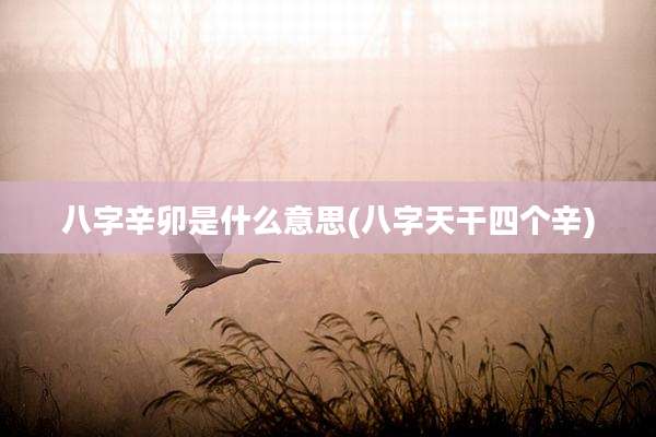 八字辛卯是什么意思(八字天干四个辛)