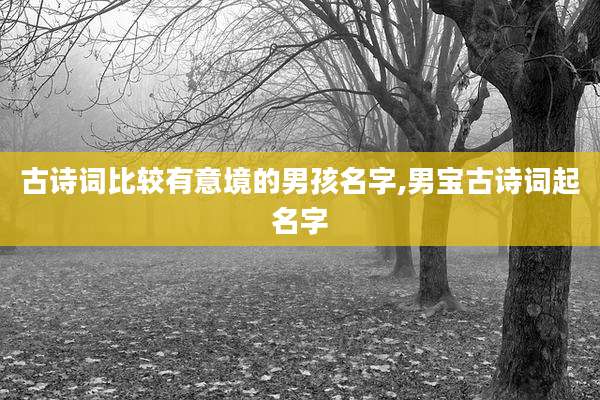 古诗词比较有意境的男孩名字,男宝古诗词起名字