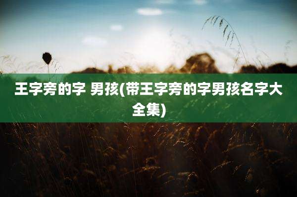 王字旁的字 男孩(带王字旁的字男孩名字大全集)
