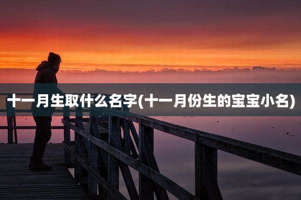 十一月生取什么名字(十一月份生的宝宝小名)