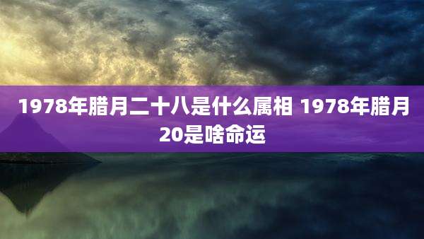 1978年腊月二十八是什么属相 1978年腊月20是啥命运
