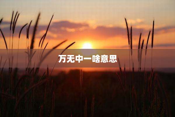 万无中一啥意思