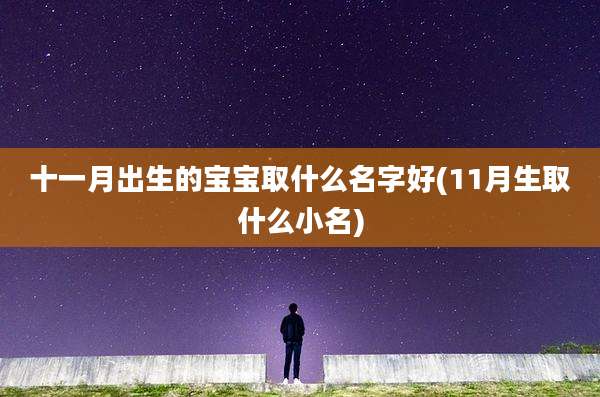 十一月出生的宝宝取什么名字好(11月生取什么小名)