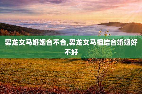 男龙女马婚姻合不合,男龙女马相结合婚姻好不好