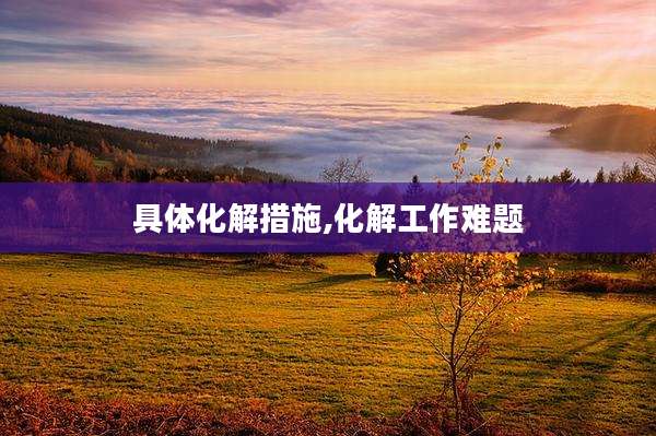 具体化解措施,化解工作难题
