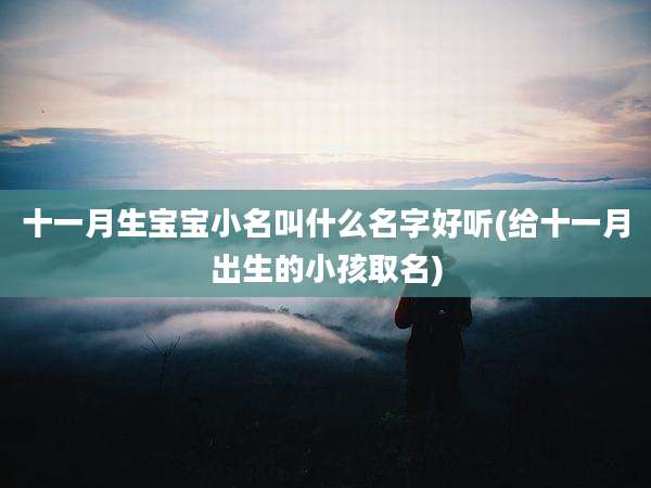 十一月生宝宝小名叫什么名字好听(给十一月出生的小孩取名)